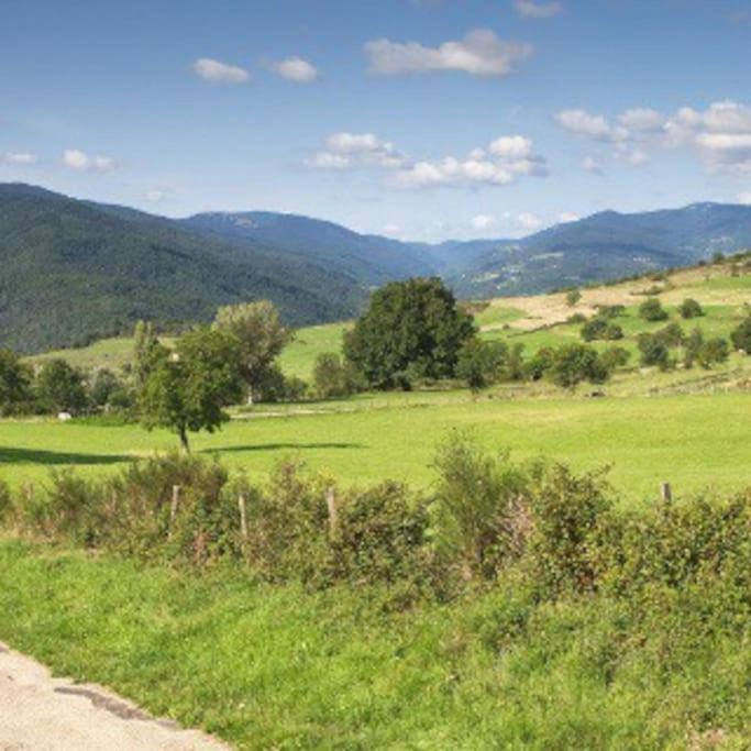 Agreable Maison De Village Avec Balcon Roiffieux Zewnętrze zdjęcie